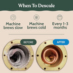 Roobi Philips Compatible Descaling Solution & Cleaner. Specially Formulated for Philips Espresso Machines. Carbon Neutral Descaler Kit. 2 Uses per Bottle, 2 Pack