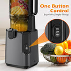 Juicer Machines with 5.4" Large Feed Chute, 400W Cold Press Juicer for Whole Vegetables and Fruits, Slow Masticating juicer Easy to Clean Juice Extractor Machine High Juice Yield(Titanium Gray)