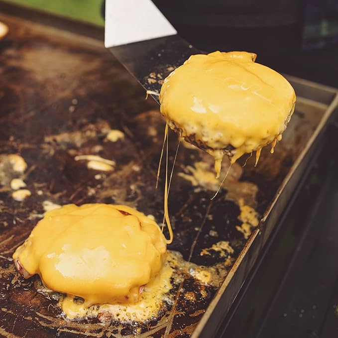 Razor Griddle GGT2130M 25 Inch Outdoor 2 Burner Portable LP Propane Gas Grill Griddle with 318 Square Inch for BBQ Cooking and Frying, Black (Steel)