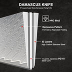 Classic Paring Knife 3.5 Inch, Japanese VG10 Steel Damascus Fruit Knife, Sharp Small Kitchen Knife with Gift Box and Resin Wood Handle,Ideal Birthday Gift for Men and Women