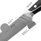 Damascus Kitchen Knife, 8 Inch Slicing Knife Professional Kitchen Knife Forged with VG10 Super Steel 67-Layer Damascus, Non-slip ABS Ergonomic Triple Rivet Handle, Razor Sharp Lightweight Multipurpose