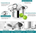 P&P CHEF 6 Quarts Cooking Stock Pot with Lid, Stainless Steel Stockpot Induction Pot for Soup, Tri-Ply Bottom & Clear Glass Lid & Double Handle, Dishwasher Safe