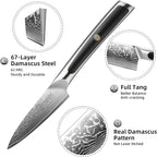 Sunnecko Paring Knife 3.5 Inch, Fruit Knife with 67-layers Damascus Steel VG-10 Blade Small Knife, Peeling Knife with Inlaid Handle Small Kitchen Knife Perfect for Cutting Fruit Vegetables Petty Knife