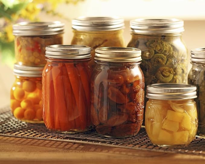 Dalzom® 48Pcs Canning Lids with Rings Regular Mouth, Premium Mason Jar Lids with Bands/Rings for Ball, Kerr Jars - Food Grade Material, 100% Fit & Airtight for Regular Mouth Mason Jars