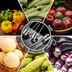 Red Bell Pepper Seed Corer,Multifunction Stainless Steel Pepper Corer Seed Remover Tool, Kitchen Utility Gadgets for Cored Bell Peppers, Apples, Pears