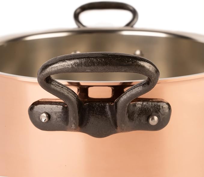 Cuisine Romefort | tinned copper pot with cast iron handles and lid | traditional stockpot made of solid copper | stewpot from France ideal for soups and stews 3.2 qt