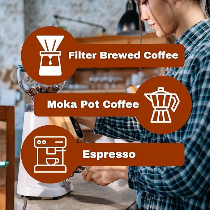 AllGround All Purpose Home Coffee Grinder - Residential Grinder - Made in Italy - By Fiorenzato (Bright Silver)