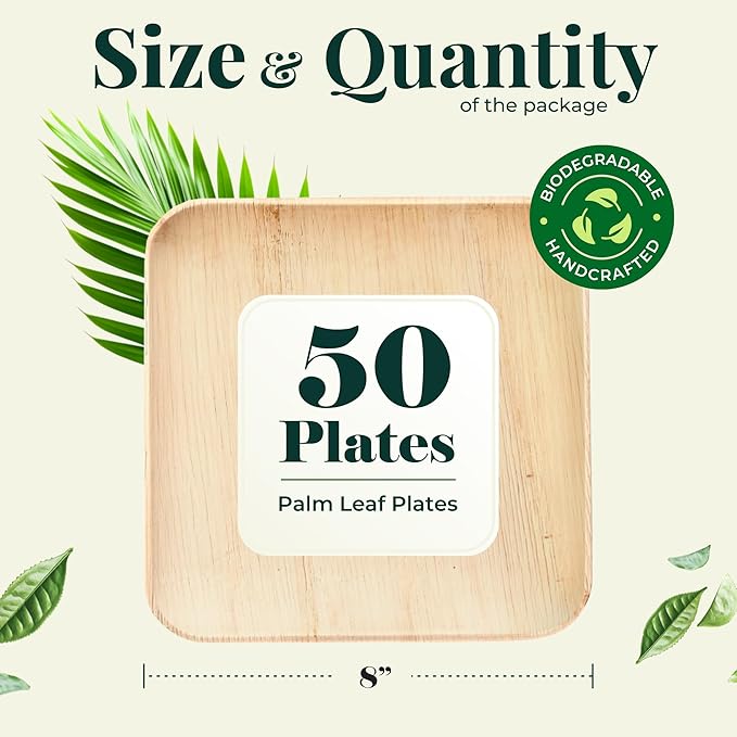 Palm Leaf Plates Bamboo Paper Plate Disposable 8 Inch 50 Bulk Appetizer Square Party Tableware Pack Biodegradable Compostable Wood Plate Better Plastic By KoalaLove