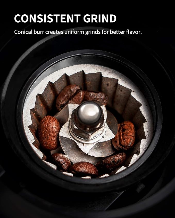 Conical Burr Coffee Grinder, Electric Coffee Bean Grinder for Precise Grinding, 35 Settings, 2–12 Cup Selector, Anti-Static Design for Home Use, Black