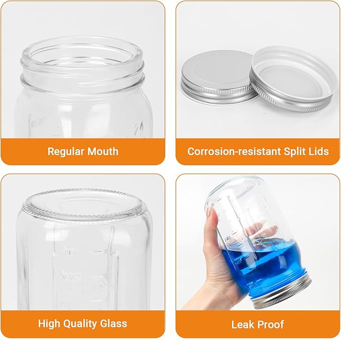 DHSBTLS 32 oz Glass Mason Jars, 12 Pack Wide Mouth Glass Canning Jars with Silver Aluminum Lids and Bands, Airtight Jars for Food Storage, Canning, Overnight Oats, Fermenting, Pickling, Decor