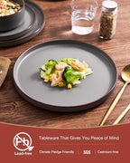 Famiware Nebula Ridge Stoneware Dinnerware Sets, Plates and Bowls Sets for 4, 12 Pieces Dishes Set, Microwave and Dishwasher Safe Kitchen Plates, Dark Gray