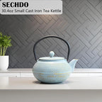 30.4oz Small Cast Iron Teapot, Tea Kettle for Stovetop Safe Coated with Enameled Interior, Japanese Tetsubin, Tea Pot with Stainless Steel Infuser for Loose Tea(900ml)