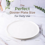 LERATIO Ceramic Plates,8.0 inch Salad Plates Set of 6,Handmade Porcelain Plates for kitchen with Wavy Edge,Microwave & Dishwasher & Oven Safe,Light weight & Scratch Resistant Dishes-White