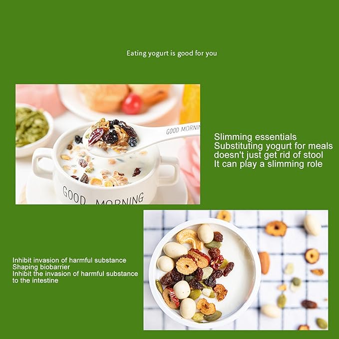 110 V Yogurt Maker Machine, Compact Yogurt Maker, Fruit Wine Maker, Stainless Steel, for Homemade DIY Yogurt Green 15W US Plug