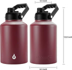 BJPKPK One Gallon(128 oz) Insulated Water Bottle, Dishwasher Safe Stainless Steel Thermos, BPA Free Jug with Ergonomic Handle & Anti-slip Bottom, Large Water Bottle, Brick Red