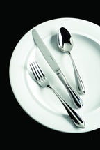 Fortessa Forge 18/10 Stainless Steel Flatware 20 Piece Place Setting, Service for 4