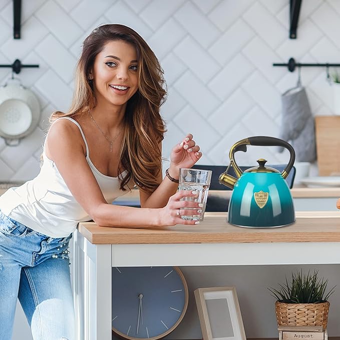 Tea Kettle -2.9 Quart Tea Kettles Stovetop Whistling Teapot Stainless Steel Tea Pots for Stove Top Whistle Tea Pot