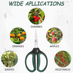 Hydroponic 2-Pack Bonsai Scissors and Plant Trimming Shears Set - Stainless Steel Pruning Shears for Indoor Gardening, Succulent Harvest, and Precision Plant Care