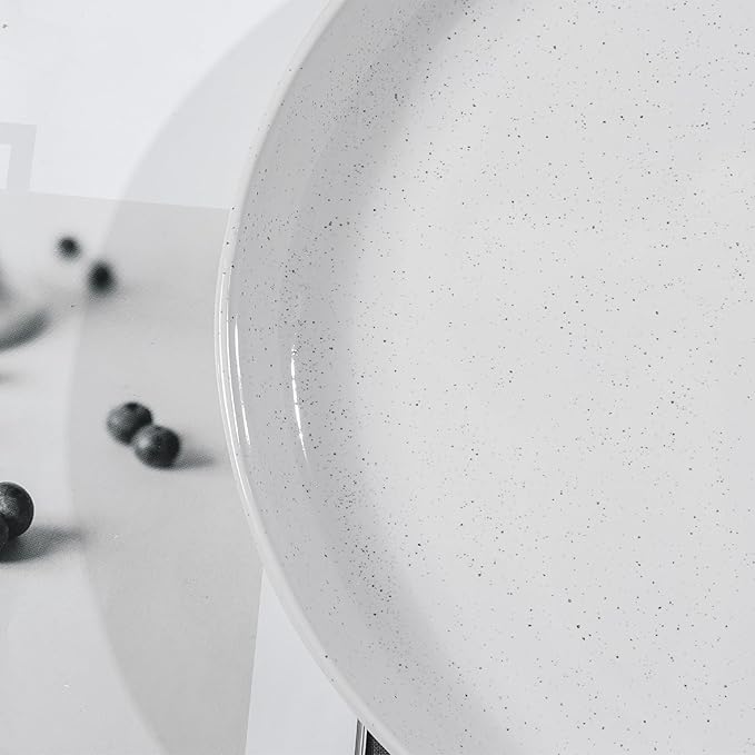 Ceramic Dinner Plates Set - 10 Inch Stoneware Plates, 4pcs Porcelain Plate, Dinnerware Dish set for Kitchen, Microwave Safe, Dishwasher Safe, Scratch Resistant,White