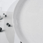 Ceramic Dinner Plates Set - 10 Inch Stoneware Plates, 4pcs Porcelain Plate, Dinnerware Dish set for Kitchen, Microwave Safe, Dishwasher Safe, Scratch Resistant,White