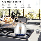 Tea Kettle -2.9 Quart Tea Kettles Stovetop Whistling Teapot Stainless Steel Tea Pots for Stove Top Whistle Tea Pot (Silver-Go)