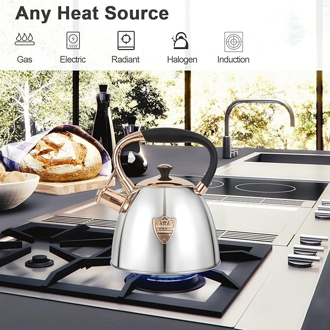 Tea Kettle -2.9 Quart Tea Kettles Stovetop Whistling Teapot Stainless Steel Tea Pots for Stove Top Whistle Tea Pot (Silver-Go)