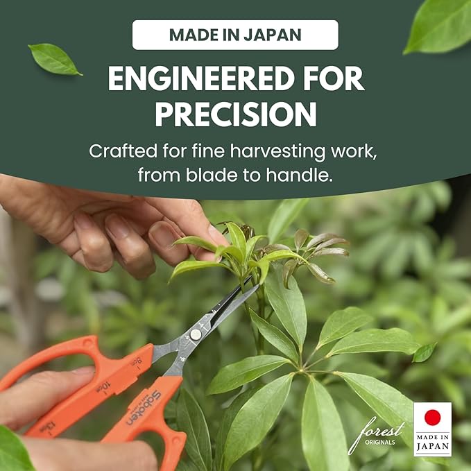 Saboten Japan 6.3" Automatic Japanese Harvesting Shears - Fine-Tipped Angled Blade, Magnetic Springless Action, Stainless Steel with Fluorine Coating, Ergonomic Grip - forest Originals, Made in Japan
