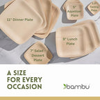 Bambu Pack of 12-5 Inch Disposable Bamboo Plates Square, Biodegradable Eco Friendly Products, Bamboo Disposable Appetizer Plates for Party, Weddings, and Events, Compostable