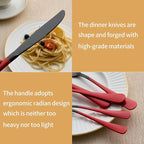 20-Piece Black and Purple Stainless Steel Flatware Set - 4 Dinner Knives, Forks, Spoons, Salad / Dessert Teaspoons - Dishwasher Safe