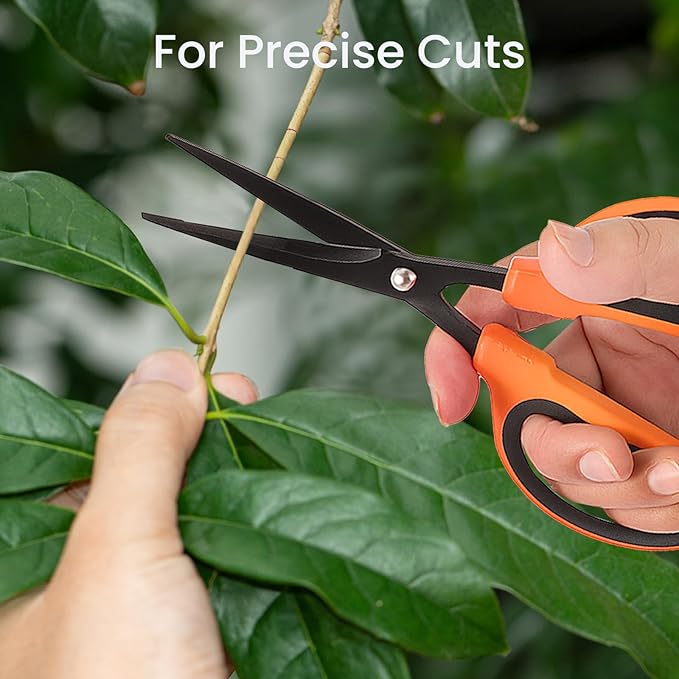 GROWNEER 6 Packs Trimming Scissors Teflon Coated Non Stick Blades Pruning Shears Gardening Hand Pruning Snips with Straight Stainless Steel Precision Blade