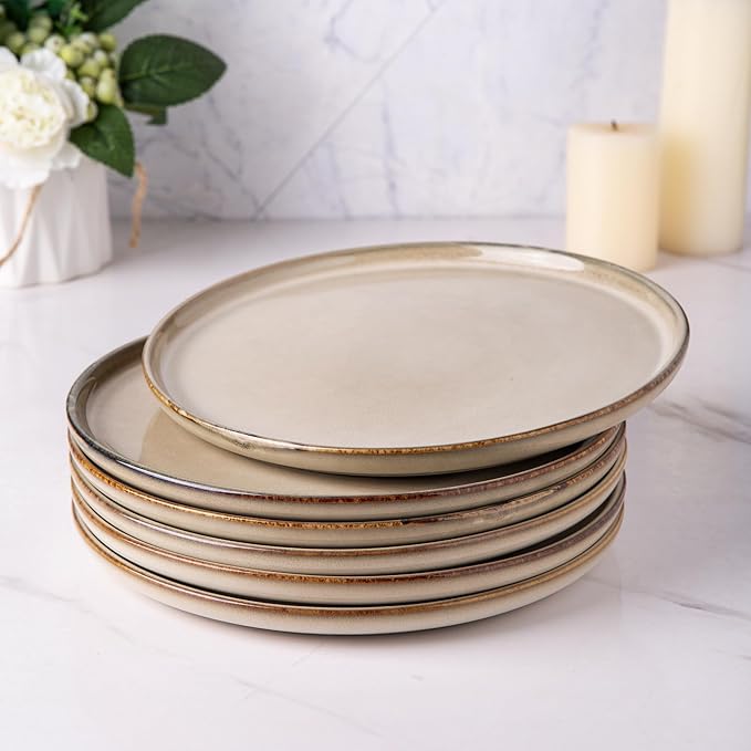 AmorArc Dinner Plates Set of 6, 10.5 Inch Reactive Glaze Ceramic Plates Set, Microwave, Dishwasher Safe, Scratch Resistant, Modern Large Dinnerware Dishes Set Kitchen Stoneware Plates