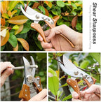 Garden Pruners, Heavy Duty Garden Clippers,Pruning Shears with Adjustable Thumb Lock,Hand Gardening Tools Pruners,Stainless Steel Sharp Gardening Scissors (Classic)