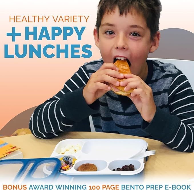 Bento Lunch Box with Insulated Bag and Ice Pack Set. 6 Divided Compartments, Containers for School, Work Daycare Lunches Snacks, Kids and Adults BPA Free, Easy to Carry, Durable Kits, Navy Blue