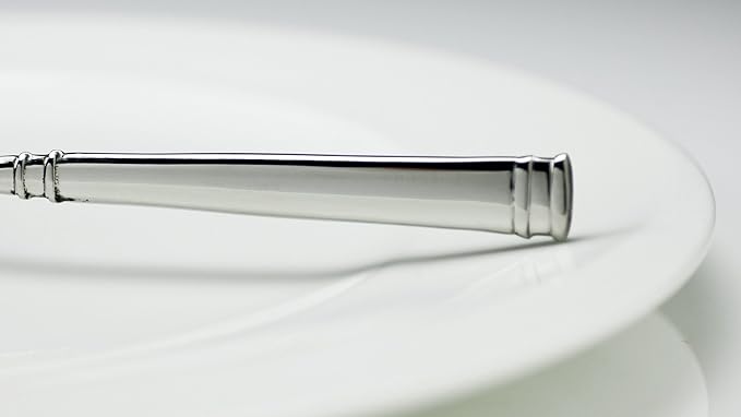 Fortessa Bistro 18/10 Stainless Steel Flatware Serving Spoon, 8.9-Inch,Silver