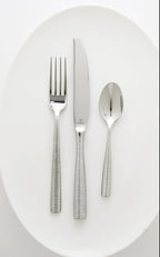 Fortessa Ringo 18/10 Stainless Steel Flatware Table Spoon, Set of 12