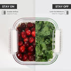 Felli Duo Fresh Produce Saver, ALL IN ONE Fridge Fruit Vegetable Container for Wash & Store with Vent & Drain Trays, Colander Strainer Bin for Refrigerator, Watermelon Berry Storage Keeper, Gifts