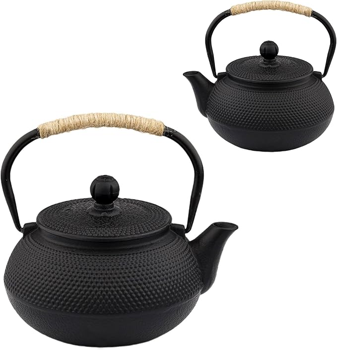 20.3oz Only, Small Tea Kettle for 1-2 Cups, Japanese Tetsubin, Cast Iron Teapot with Stainless Steel Infuser for Loose Leaf & Coffee, Tea Pot for Stovetop Safe, Enamel Interior(Black, 600ml)