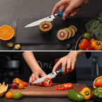 Kitchen Utility Knife 5 Inch, Japanese VG10 Steel Damascus Paring knife, Small Kitchen chef Knife with Gift Box and Resin Wood Handle, Ideal Birthday Gift for Men and Women