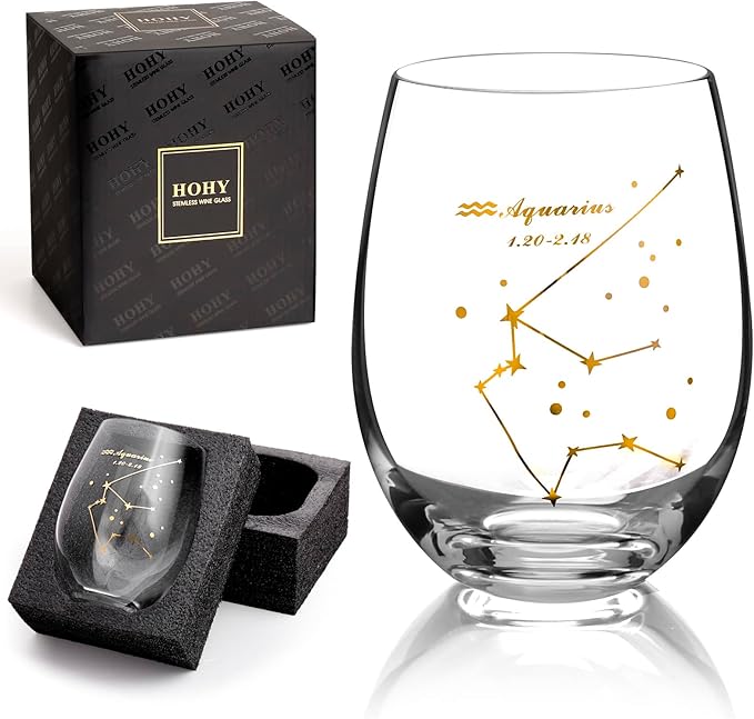 HOHY Aquarius Wine Glass - 20oz Stemless Zodiac Constellation Glass, Gift for Women & Men