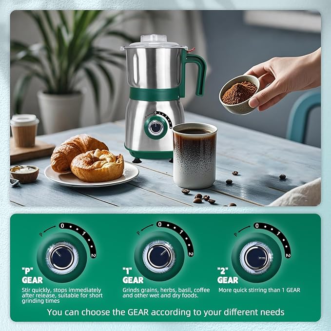 Spice Grinder Electric,Herb Nut Grinder for Kitchen,Detachable Espresso Grinder with Stainless Steel Blades,Filter and Brush, 500w Dry and Wet Grain Mill for Coffee,Rice,Bean,Seasoning(Green)