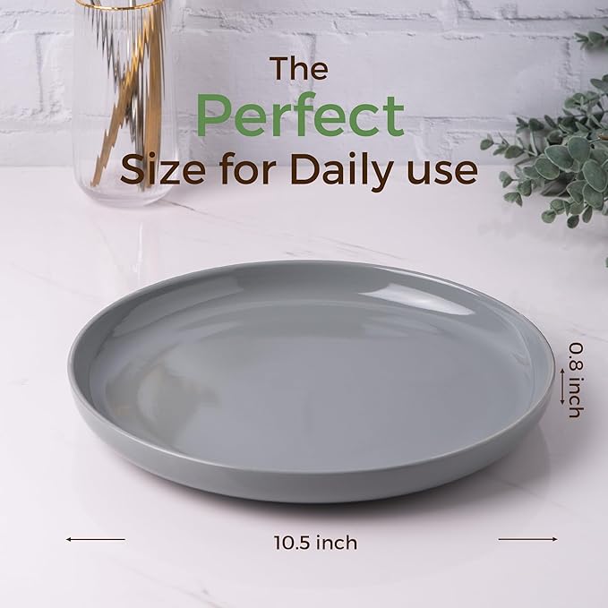 AmorArc Ceramic Dinner Plates Set of 6,10.5 inch Large Stoneware plates for Kitchen,Dinnerware Dishes set- Microwave,Dishwasher Safe,Scratch Resistant-GREY