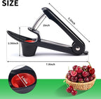 2 Packs Cherry Pitter Tools, Cherry Seed Core Remover Olives Pitter Tool, Stainless Steel Cherries Corer with Space-Saving Lock Design (Black & Green)