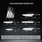 WILDMOK Professional Knife Set, 5 Pieces Kitchen Knife Set, German Stainless Steel Chef Knife Set withGift Box, Black Pakkawood Handle