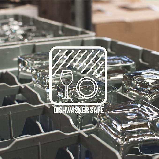 Rolf Glass School of Fish Clear Stemless Wine Glass | Set of 2 Stemless Glasses | 15oz Glass Tumblers | Engraved Lead-Free Coastal Glassware | Made in the USA