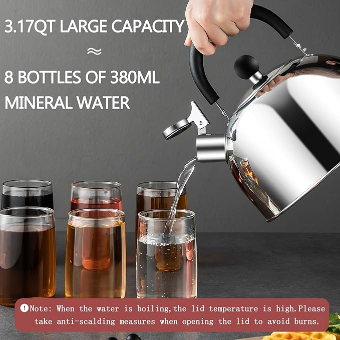 304 Stainless Steel Whistling Tea Kettle 3.17 Quart/3L Tea Pot, Suitable to Boiling Water & Tea on Induction Stove, Gas Stove Top