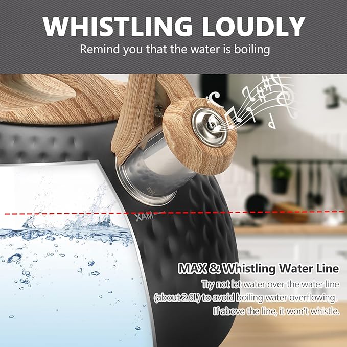 harriet Tea Kettle, Tea Pot for Stovetop, 2.5QT Whistling Kettle with 5-Layers bottom, Food Grade Stainless Steel Kettles with Hot-Resistant Handle Gas Electric Applicable, Black