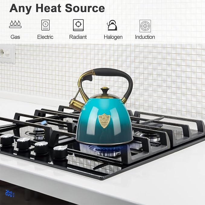 Tea Kettle -2.9 Quart Tea Kettles Stovetop Whistling Teapot Stainless Steel Tea Pots for Stove Top Whistle Tea Pot