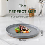 AmorArc Ceramic Plates Set of 6,10.25 Inch Speckled Dinner Plates with Handpainted Rustic Terracotta Underside,Modern Dinnerware Dishes Set for Kitchen,Microwave & Dishwasher Safe-Gray