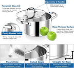 P&P CHEF 4 Quarts Cooking Stock Pot with Lid, Stainless Steel Stockpot Induction Pot for Soup, Tri-Ply Bottom & Clear Glass Lid & Double Handle, Dishwasher Safe