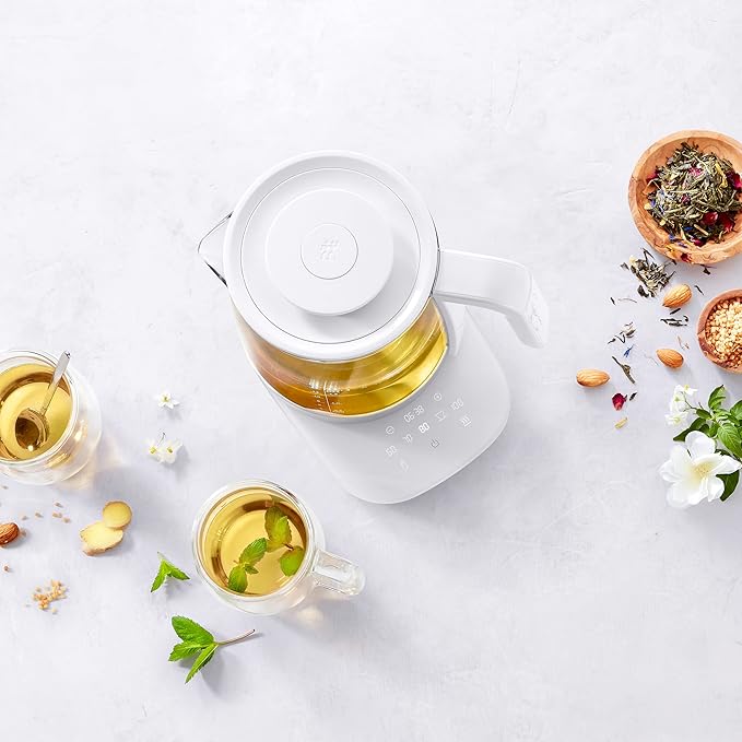 ZWILLING Enfinigy Glass Kettle, Tea Kettle, Silver